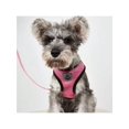 thumbnail image 4 of 1PC Cat Harness Vest Walking Lead Leash For Puppy Dogs Collar Polyester Adjustable Mesh Dog Harness For Small Medium Pet collar & leash set, 4 of 5