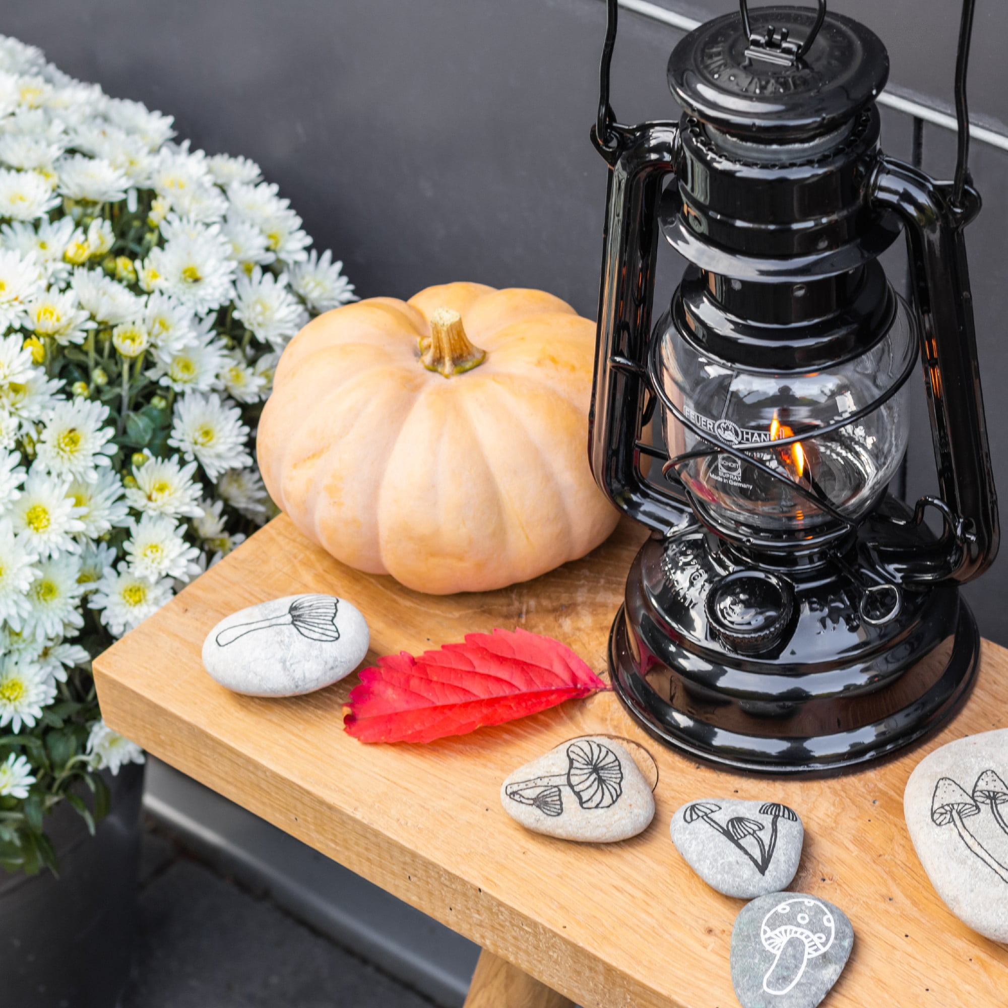 Feuerhand Galvanized Lantern - Classic Black
