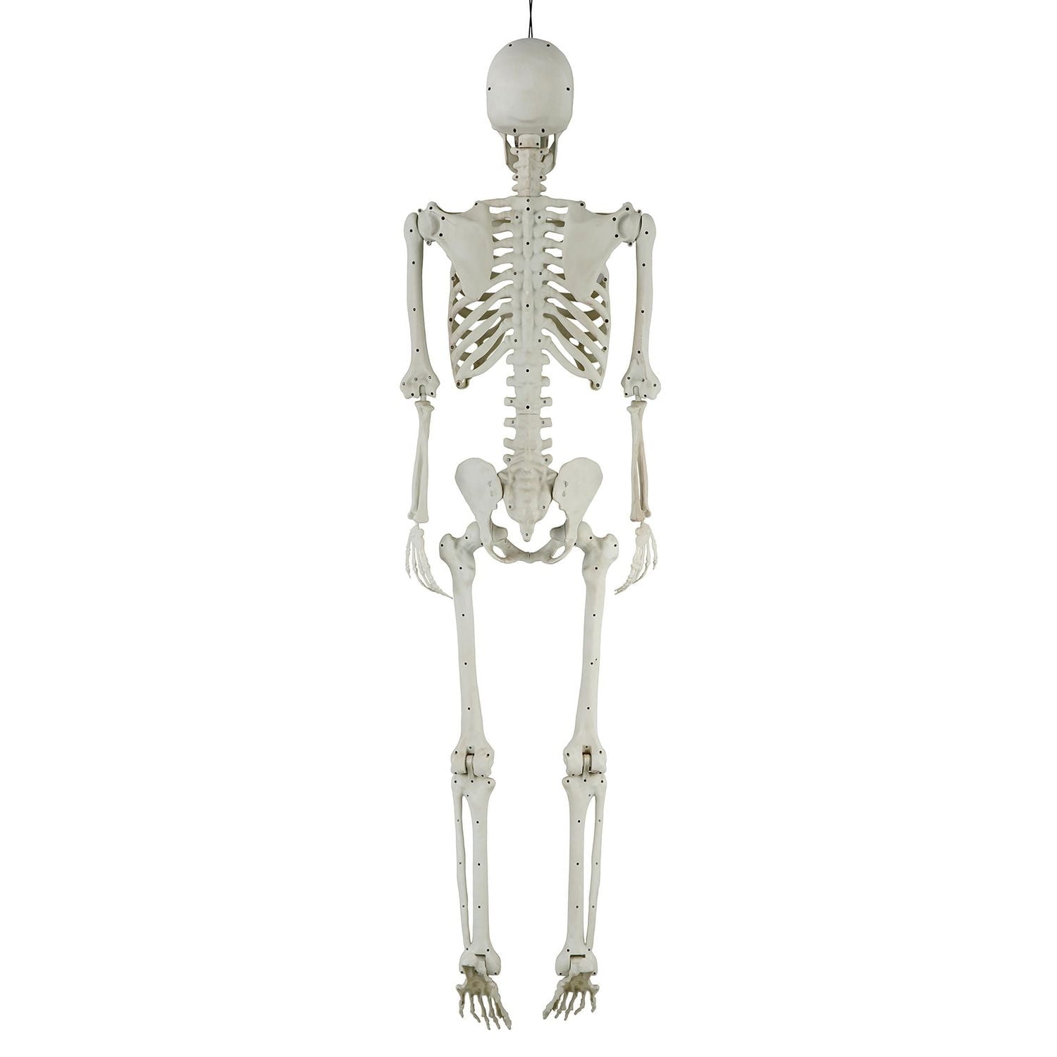Halloween Deco Way to Celebrate 60inch Pose-able Skeleton Non-function