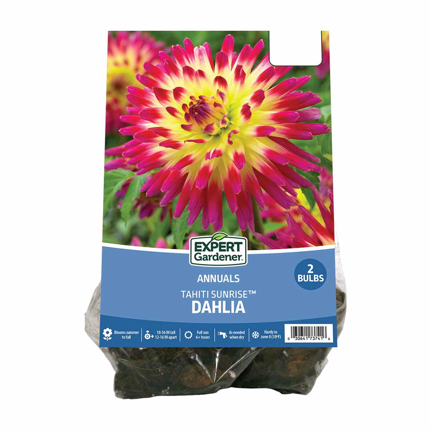 Expert Gardener Dahlia Dinnerplate Mix Plant Bulbs, Set of 3