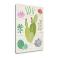 thumbnail image 2 of "Succulent Chart III On Wood" By Wild Apple Portfolio, Fine Art Giclee Print on Gallery Wrap Canvas, Ready to Hang, 2 of 2