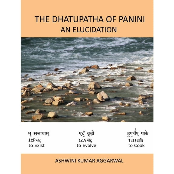 The Dhatupatha of Panini - An Elucidation (Paperback)