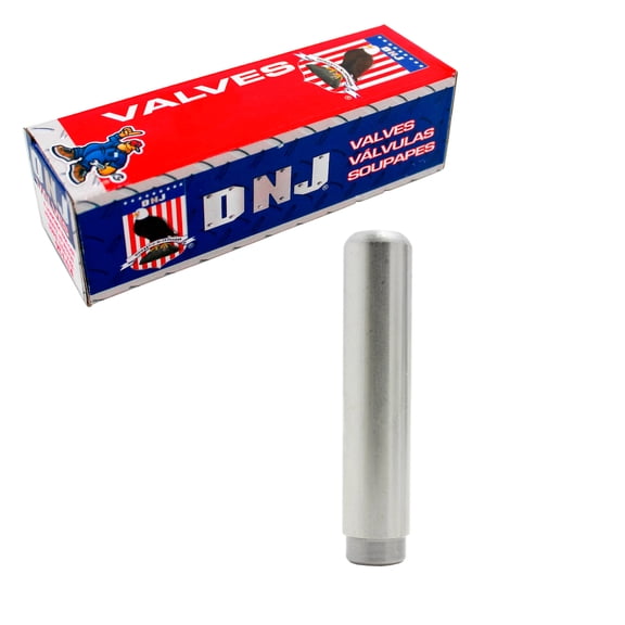 DNJ VG420 Valve Guide Fits Cars & Trucks 97-04 Ford Mercury Tracer Focus 2.0L L4 SOHC 8v