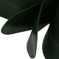 thumbnail image 3 of OUNONA Planta Artificial De Hojas Para De Hogar Y Oficina En Material Eva, 3 of 8