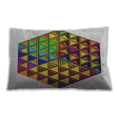 thumbnail image 1 of Ahgly Company Indoor Rectangular Patterned Lumbar Throw Pillow, 13 inch by 19 inch, 1 of 5