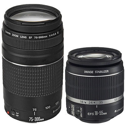 Canon Ef S 18 55mm F 3 5 5 6 Stm Slr Lens Canon Ef 75 300mm F 4 5 6 Iii Le Walmart Com