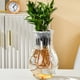 thumbnail image 1 of Transparent flower pots Plastic vase Floor vase living room home small bottle ornaments office hydroponic flower arranger Feature:Quantity: 1Pcs Colour: Clear Material: PolyesterProduct size:, 1 of 6