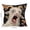 C, variant on Imitation Embroidery Animals Print Throw Pillow Cover – Decorative Sofa Pillowcase Cushion Cover for Bedroom Living Room Home Decor