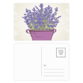 thumbnail image 1 of Purple Lavender Pot Flower Postcard Set Birthday Mailing Thanks Greeting Card, 1 of 3
