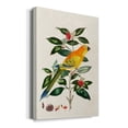 thumbnail image 2 of Bird in Habitat V Premium Gallery Wrapped Canvas - Ready to Hang, 2 of 9