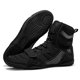 thumbnail image 2 of Boxeo Zapatos, 2 of 9