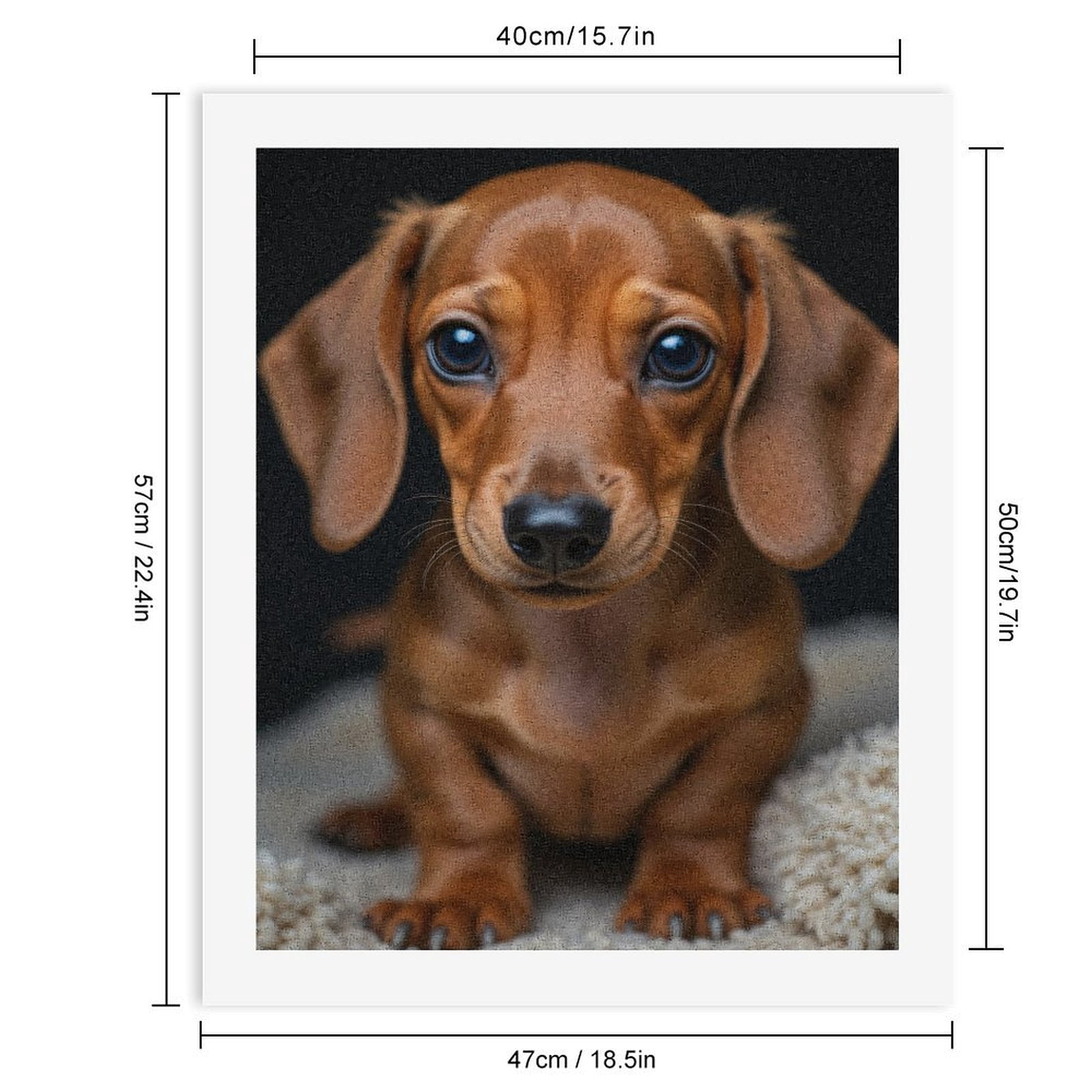 Paint by Numbers Kit for Adults, Adorable Dachshund Puppy Portrait Paint by Numbers, Easy Paint by Numbers Kit for Adults Beginner, DIY Adult Paint by Number Kits on Canvas, Home Decor