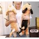 thumbnail image 3 of Puppy Dog Doll Cute Plush Toy Men's And Women's Sleep Pillow Bed Doll Pillow, 3 of 3