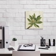 thumbnail image 3 of Epic Graffiti 'Front Yard Succulent I' by Silvia Vassileva, Canvas Wall Art, 12"x12", 3 of 8