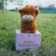 thumbnail image 2 of Adopt a Highland Cow Plush, Cute Cow Stuffed Animal Fluffy Cow Figure Toys, 2 of 5