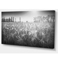 thumbnail image 2 of Champ de Blé Noir et Blanc, 2 of 3
