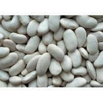 Bean Seeds ,Lima Bean, Henderson Bush, Non GMO, 100  Seeds, Great Tasting and Healthy