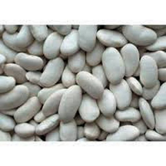 Bean Seeds ,Lima Bean, Henderson Bush, Non GMO, 100  Seeds, Great Tasting and Healthy