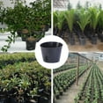 thumbnail image 7 of SPRING PARK 100Pcs Plastic Plant Flower Pots Nursery Garden Plants Starting Pot Container, 7 of 7