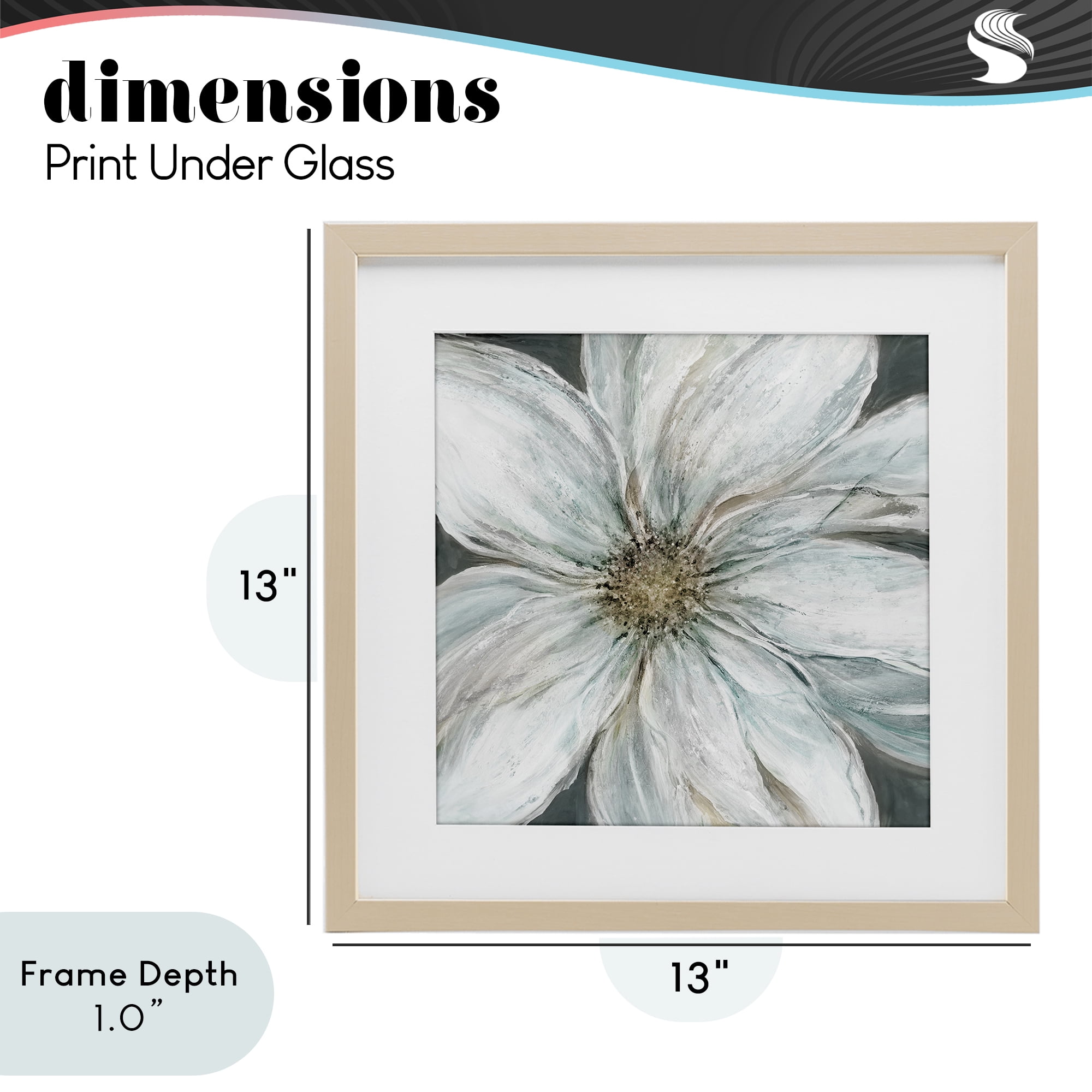 Stupell Industries Large White Flower Closeup Birch Framed Print Under Glass, design by Carol Robinson