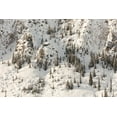 thumbnail image 2 of The Yellowstone Collection 32x23 Black Ornate Wood Framed with Double Matting Museum Art Print Titled - Snowy Cliffs of Mt. Haynes, Yellowstone National Park, 2 of 4