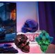 thumbnail image 5 of Gear Skull Ball,GearSphere -The Steampunk Whirling Wonder Fidget,3D Skull, 5 of 5