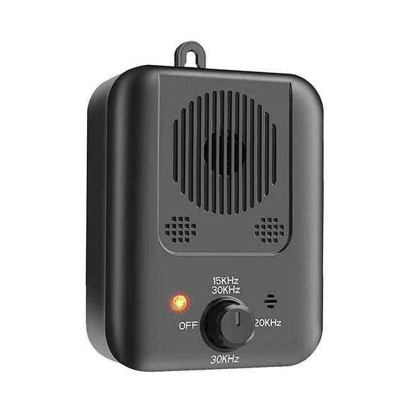Dog Dog Trainer Indoor Outdoor