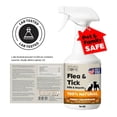 thumbnail image 2 of Nature’s Dome Cedarwood Flea & Tick Spray – 16 oz – Kills & Repels Fleas, Ticks, Larvae & Eggs – Plant-Based Pest Control – Safe for Pets, Kids & Plants – Ready-to-Use, 2 of 14