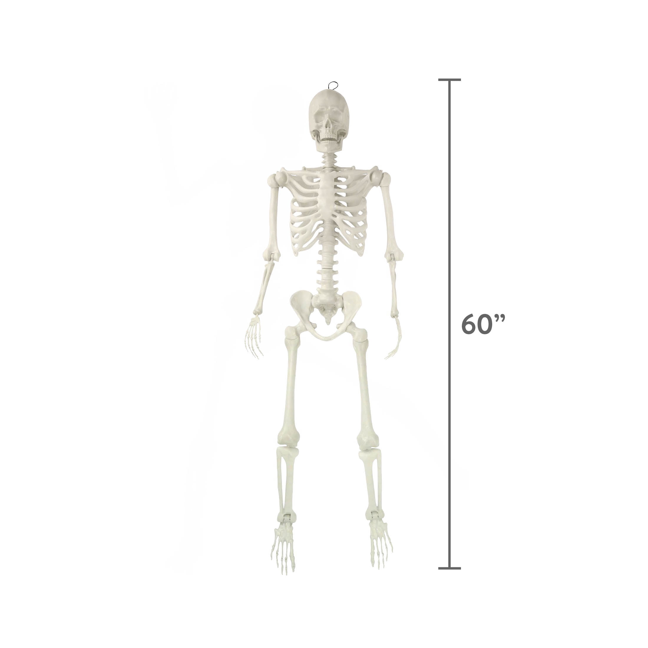 Hanging Posable Skeleton Decoration, White, 5', Halloween by Way To Celebrate
