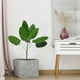 thumbnail image 4 of Artificial Plants Tropical Leaves Banana Tree Faux Palm Leaf Of Plant Fake Leaves Indoor Outside Gar, 4 of 5