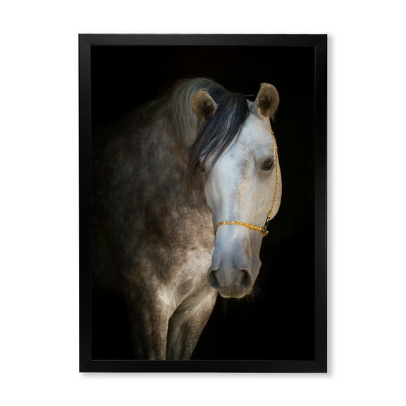 Designart 'Close Up Portrait Of A White Horse' Farmhouse Framed Art Print
