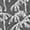 Grey, variant on Women Summer T Shirts Dandelion Print Graphic Tees Floral Printed O-Neck Casual Summer Tunic Tops