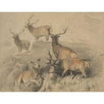 thumbnail image 2 of Sir Edwin Henry Landseer 14x12 Black Ornate Wood Framed Double Matted Museum Art Print Titled: Some of the Best Harts in the Forest, 2 of 5