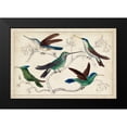 thumbnail image 2 of Unknown 24x17 Black Modern Framed Museum Art Print Titled - Hummingbird Gathering I, 2 of 5