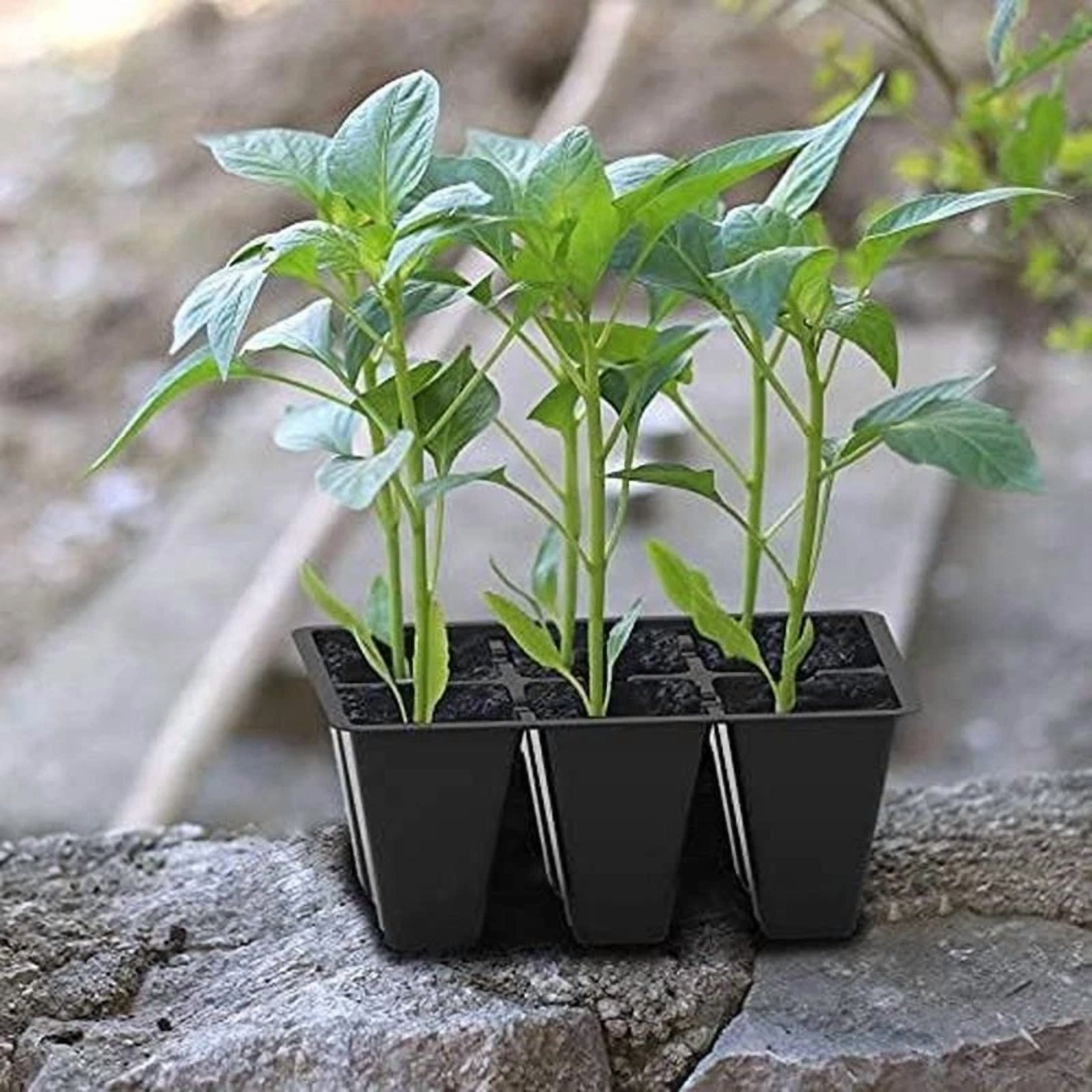 CIRCLE- Gardzen 30 Pack 6-Cell Seed Starting Tray For Seedlings, Plant Starter Trays Wit
