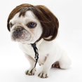 thumbnail image 2 of Dog Wig Artificial Short Adjustable Funny Puppy Cosplay Accessory Pet Headwear, 2 of 10