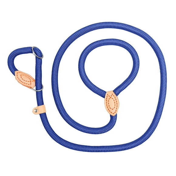 TIELUTT Laisse à Chaîne P Affleurante Cousue en Nylon Laisse pour Chien en Cuir Laisse pour Chien Étendue Épaisse Laisse d'Entraînement Laisse Laisse P Corde Sarcelle Laisse pour Chien 4 Pieds Laisse de Marche Bail pour Chien Petite Laisse Rétractable Laisse pour Chien à Deux Pieds