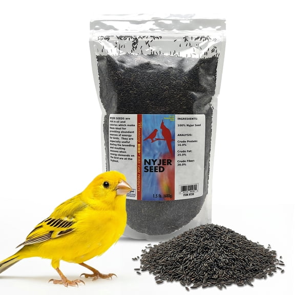 Morning Bird Nyjer Seed for Birds 1.5 lbs - Bird Food for Finches, Canaries & Other Seed-Eating Birds – High-Energy Seed for Daily Nutrition
