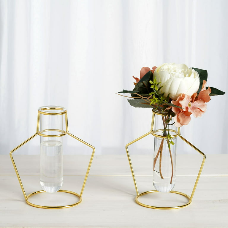 Hinged Flower Vase,8Pcs/6Pcs Test Tube Vase, Transparent Glass