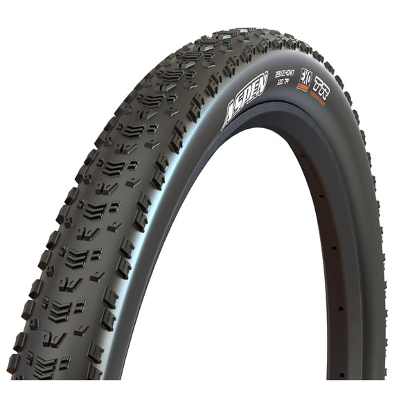 Maxxis Aspen Tire, 29x2.4", F170, EXO/TR/WT, Silica
