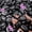 Black, variant on 16lb White River Rocks for Outdoor Landscaping, 2-3 Inch Pebbles for Indoor Plants, Natural Polished Aquarium Gravel, Decorative Rocks for Succulent, Garden, Vases Fillers, Bird Baths