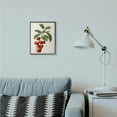 thumbnail image 3 of Stupell Industries Vintage Fruit Cherry Painting Framed Giclee Texturized Art by Vision Studio, 3 of 3