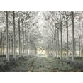 thumbnail image 2 of Frank, Assaf 18x15 Gold Ornate Wood Framed with Double Matting Museum Art Print Titled - Pathway through trees in forest, FTBR-1833, 2 of 4