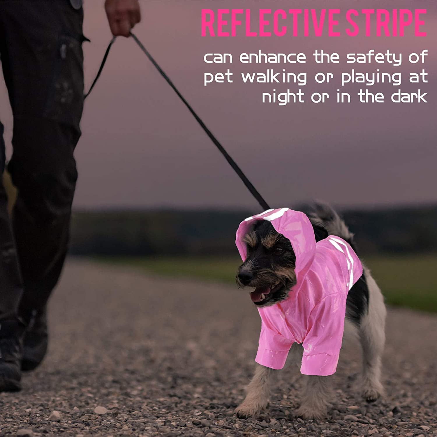 dog boots and jacket