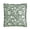 Green, variant on The Pioneer Woman Blue Daisy Boucle Decorative Pillow, 20" x 20"