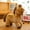 Brown, variant on Lunxisen 3 Pcs Horse Stuffed Animal Mini Horse Plush Bulk Stuffed Horses for Animal Theme Party Birthday Favors Supplies Decorations(15cm)