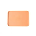thumbnail image 1 of Tray Plastic Food and Beverage Fast Food Serving Rectangular Restaurant Kindergarten Children Puzzle Plate orange 24cm 17cm, 1 of 6