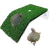 Image thumbnail_image