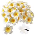 thumbnail image 1 of 50 pinzas para el cabello de espuma blanca TUNC hawaiana 2,4 pulgadas, 1 of 4