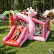 Inflatable Bounce House